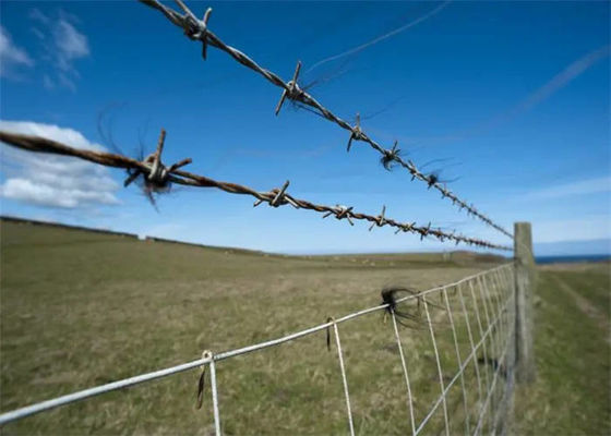 Valla de acero galvanizado para una mejor protección de la granja y el jardín
