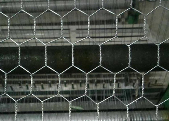 Electro galvanizado después de tejer red de malla de alambre de pollo hexagonal